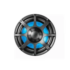 Сабвуфер в автомобиль BLAUPUNKT GT Power 1200w (без корпуса, 30см)