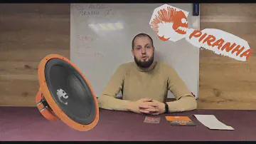 Сабвуфер за 3 990 руб. расшатывает ВАЗ 2114! DL Audio Piranha 12. Самый доступный автозвук!