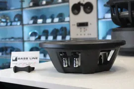 Пассивный сабвуфер Dynamic State PRO PSW-250S 10" D2