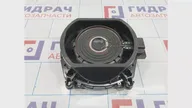 Сабвуфер BMW X5 (E70) 65136971884