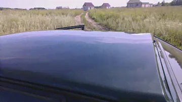 2х12 МОШКИ ВАЛЯТ) Mystery MO-12S