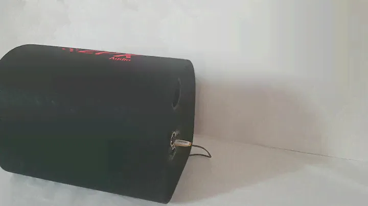 Сабвуферы автомобильный 12" 1200 ват Bluetooth 12v/220v ZX-12SUB