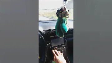 Альфард мачете 15 в салоне