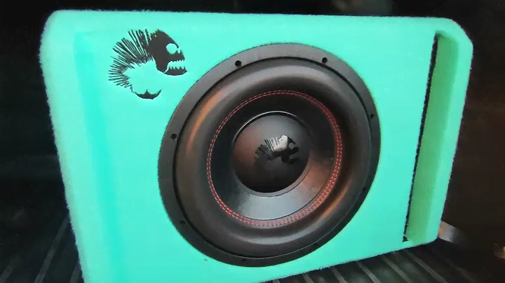 Активный сабвуфер DL Audio Piranha 12A  MARINE V.2  В Ваз 2112