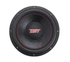 Dynamic State PSW-31D2 Pro series сабвуфер 12" 1800 RMS-0
