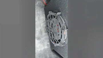 Сабвуфер Mystery mjs-10