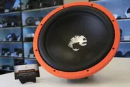 Сабвуфер DL Audio Piranha 12" D2
