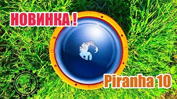 НОВИНКА! Бюджетный но Бодрый Сабвуферный динамик Piranha 10! От Dl Audio!