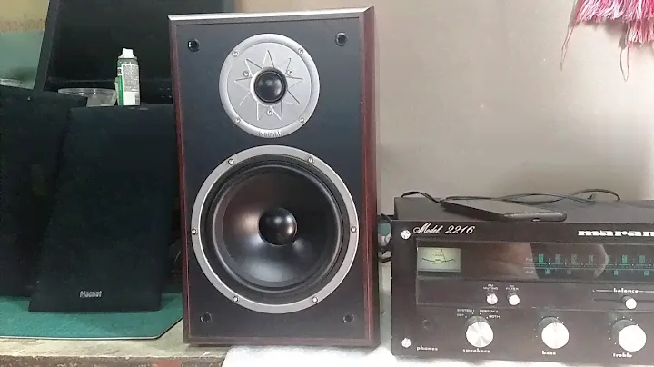 MAGNAT Monitor Supreme 200, quick demo (ШВИДКЕ ДЕМО)