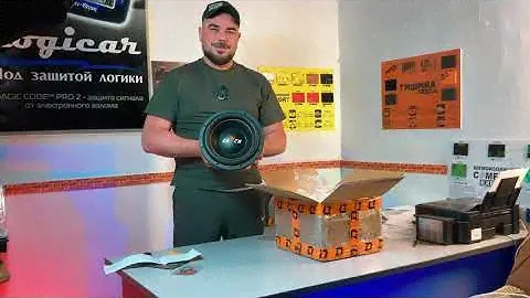 Сабвуфер DL Audio Raven 10" в Opel Astra J