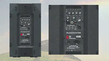 Audiocenter SA312 Multi functional use like stage monitor or dj speaker