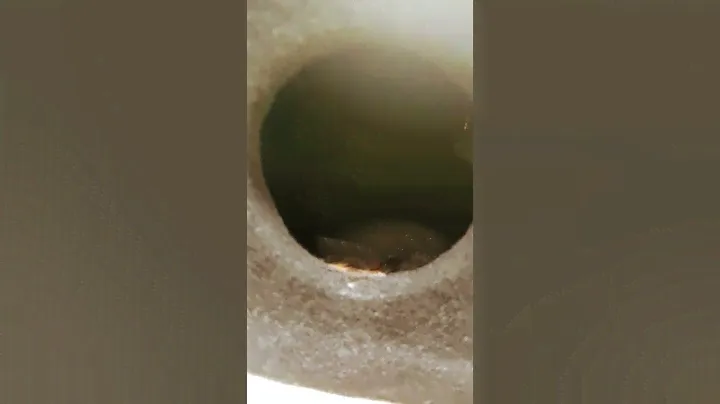 Буфер в газель Некст