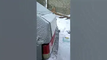 Ivolga 10f в чв