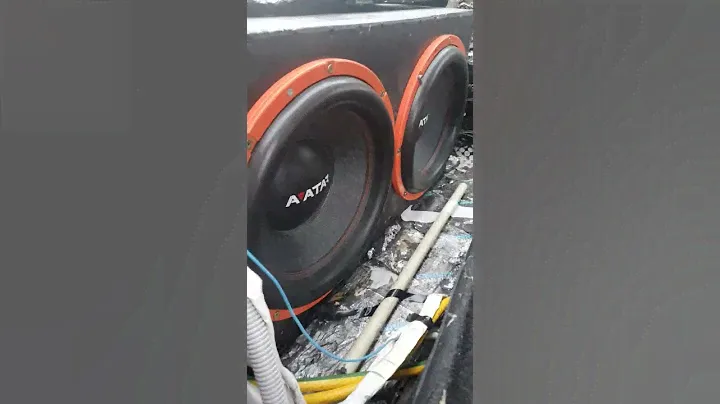 аватары svl 1547 разминка