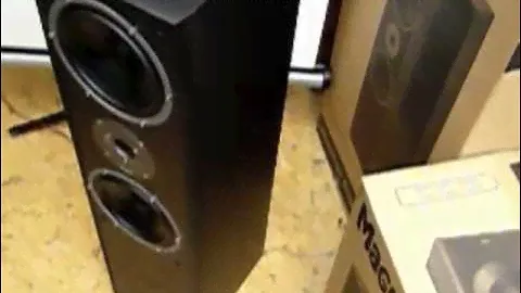 Magnat Monitor Supreme 800 акустика напольная